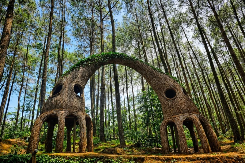 pakej-jogja-viral-goa-pindul-oyo-pinus-pengger